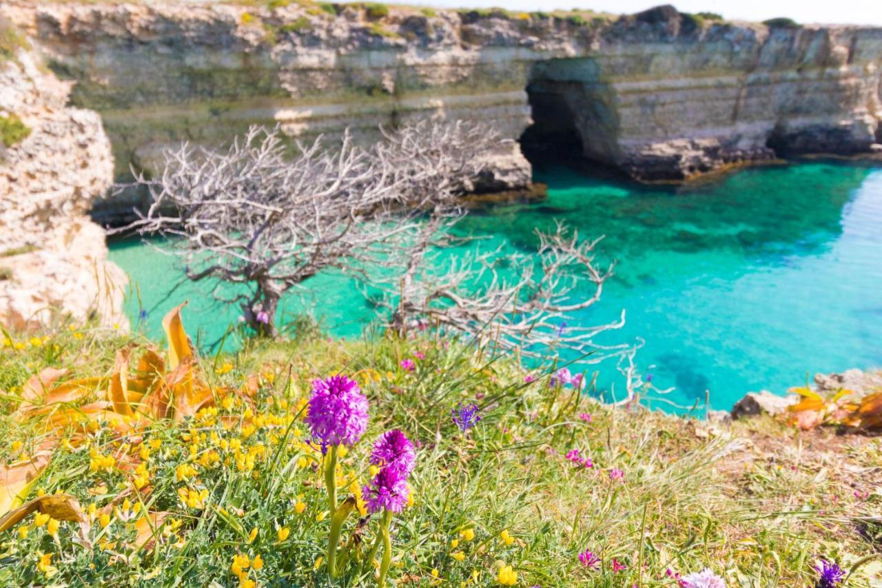 Casa Vacanze Frida In Salento Otranto Zewnętrze zdjęcie